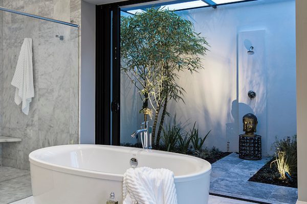 Master Bath - Tub and Outdoor Shower