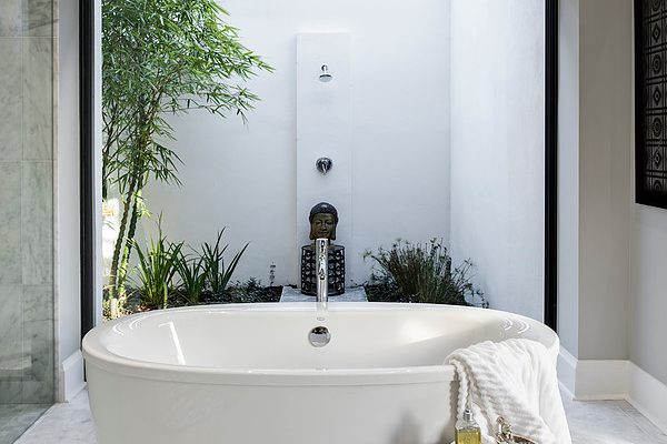 Master Bath - Tub and Outdoor Shower