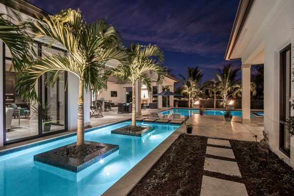 Palms in Pool Palms in Pool